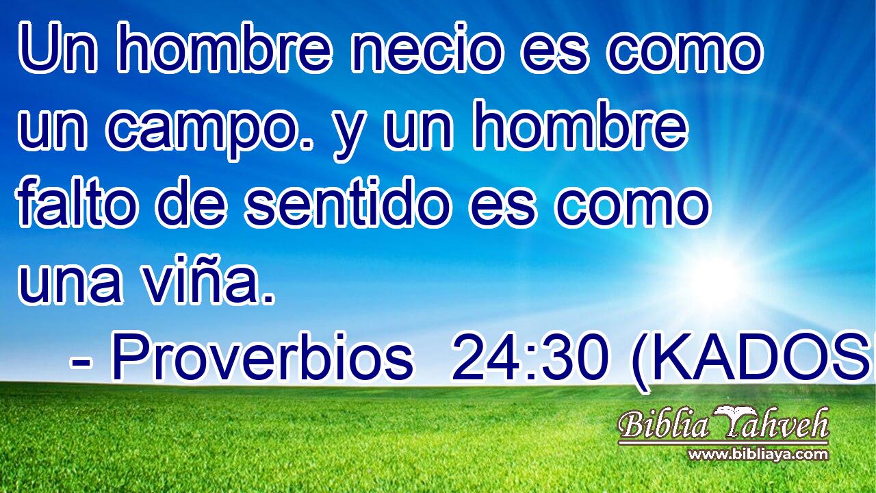  Un hombre necio es como un campo. y un hombre falto de sentido es como una viña. 