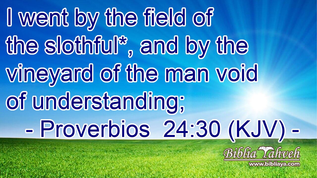 I went by the field of the slothful*, and by the vineyard of the man void of understanding;