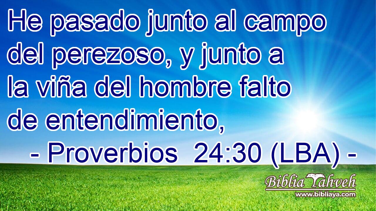 He pasado junto al campo del perezoso, y junto a la viña del hombre falto de entendimiento,