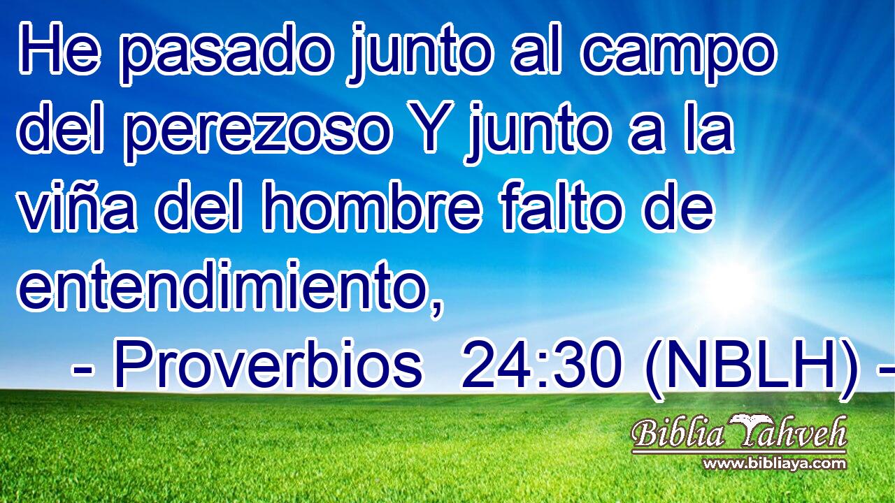  He pasado junto al campo del perezoso Y junto a la viña del hombre falto de entendimiento, 