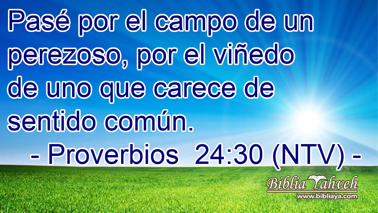 Pasé por el campo de un perezoso, por el viñedo de uno que carece de sentido común.