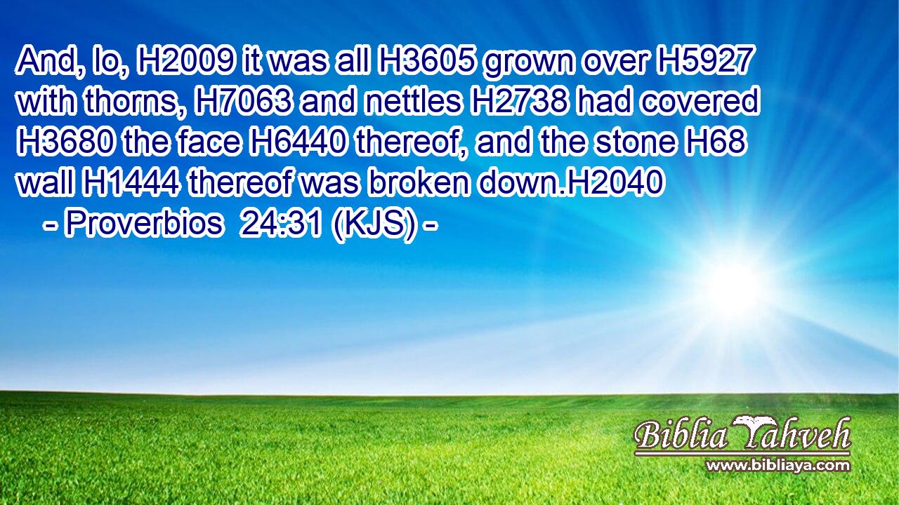 And, lo, H2009 it was all H3605 grown over H5927 with thorns, H7063 and nettles H2738 had covered H3680 the face H6440 thereof, and the stone H68 wall H1444 thereof was broken down.H2040