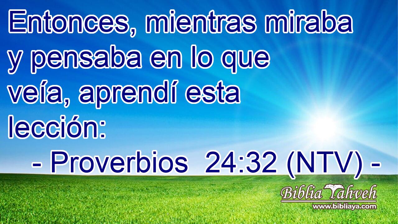 Entonces, mientras miraba y pensaba en lo que veía, aprendí esta lección: