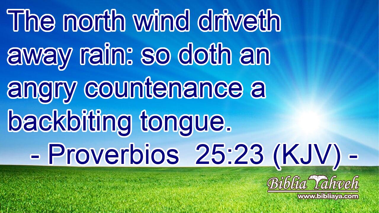 The north wind driveth away rain: so doth an angry countenance a backbiting tongue.