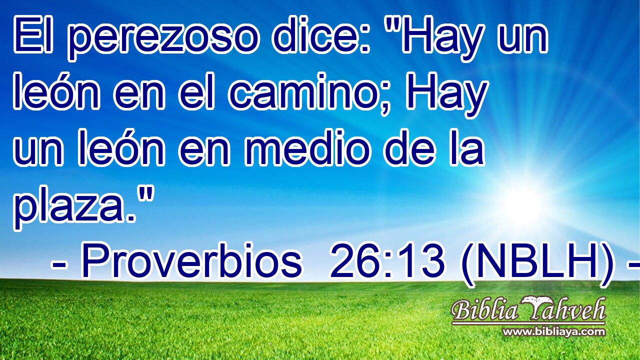  El perezoso dice: 