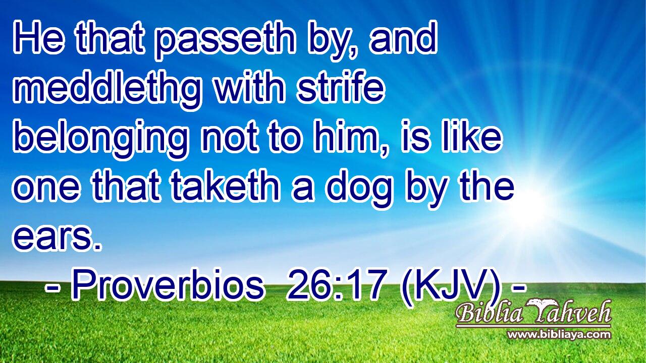 He that passeth by, and meddlethg with strife belonging not to him, is like one that taketh a dog by the ears.