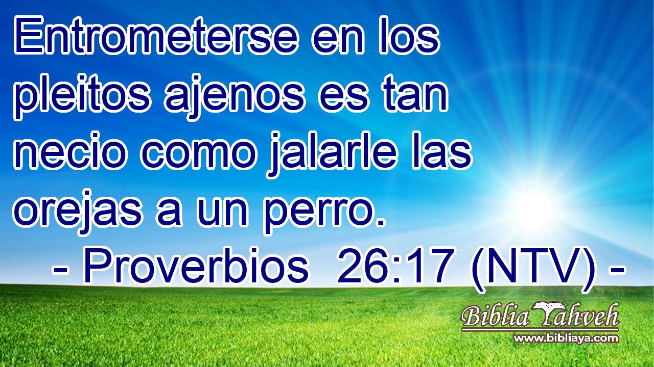 Entrometerse en los pleitos ajenos es tan necio como jalarle las orejas a un perro.