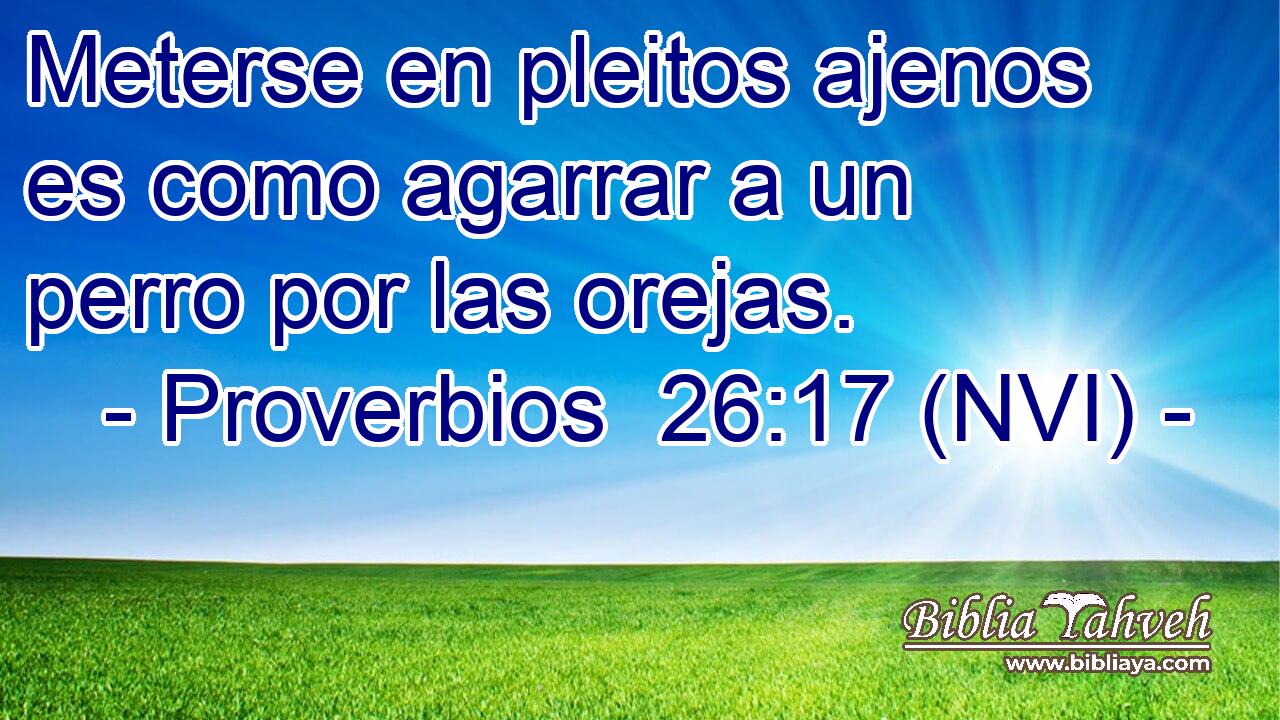  Meterse en pleitos ajenos es como agarrar a un perro por las orejas. 