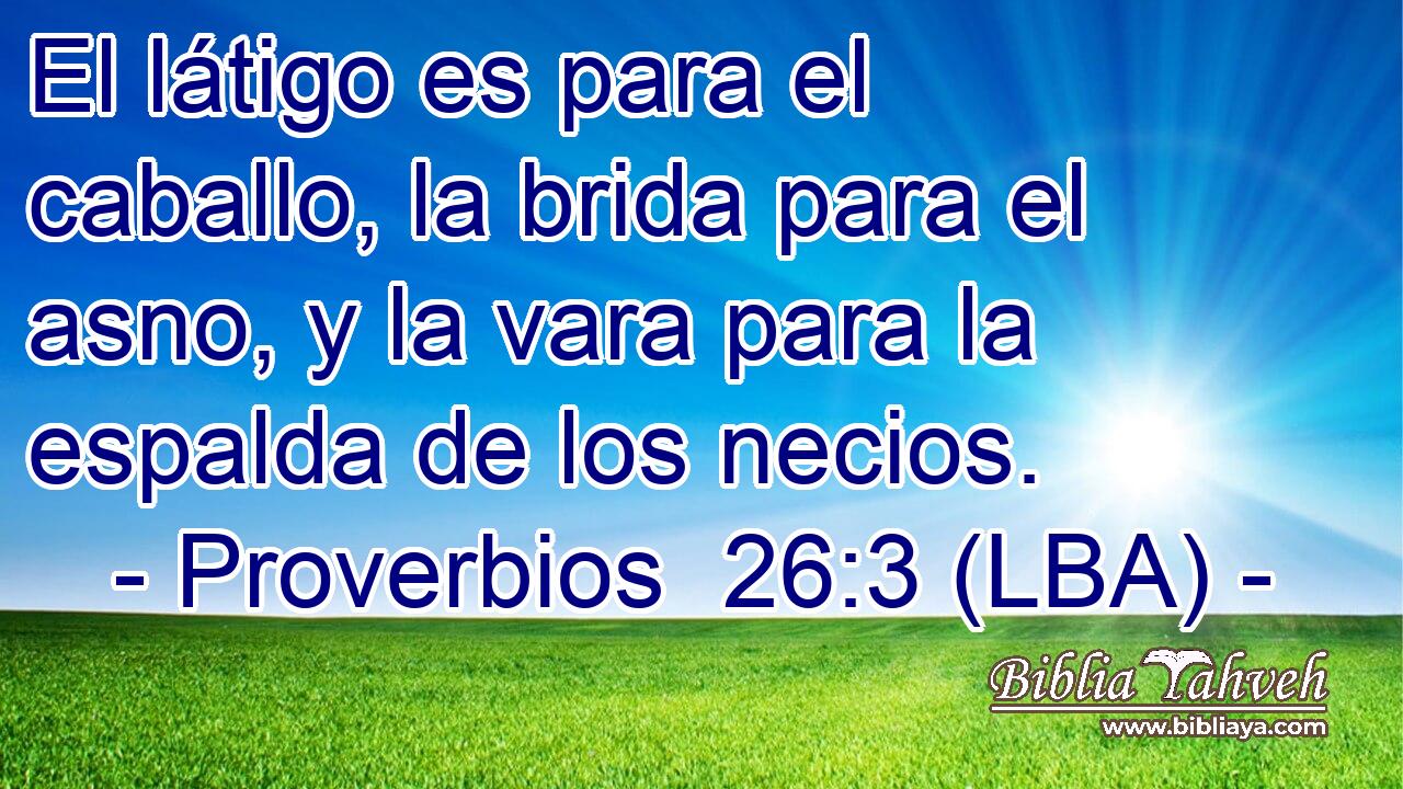 El látigo es para el caballo, la brida para el asno, y la vara para la espalda de los necios.