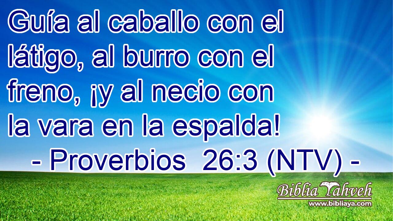 Guía al caballo con el látigo, al burro con el freno, ¡y al necio con la vara en la espalda!