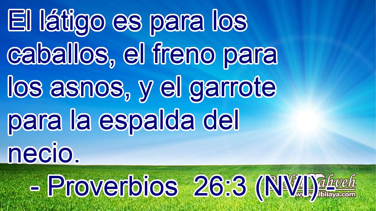  El látigo es para los caballos, el freno para los asnos, y el garrote para la espalda del necio. 