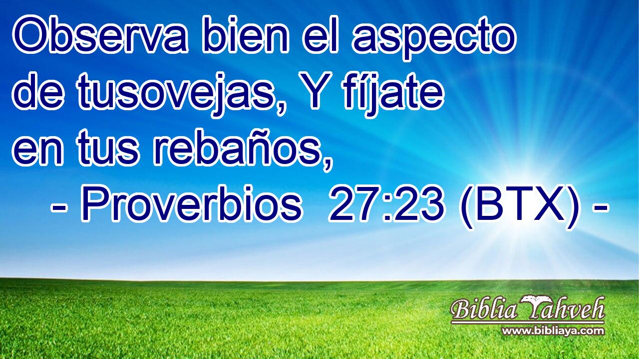 Observa bien el aspecto de tusovejas, Y fíjate en tus rebaños,