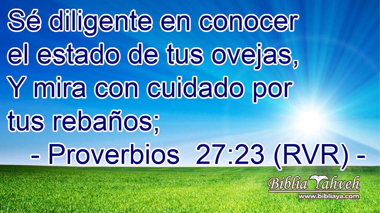 Sé diligente en conocer el estado de tus ovejas, Y mira con cuidado por tus rebaños;