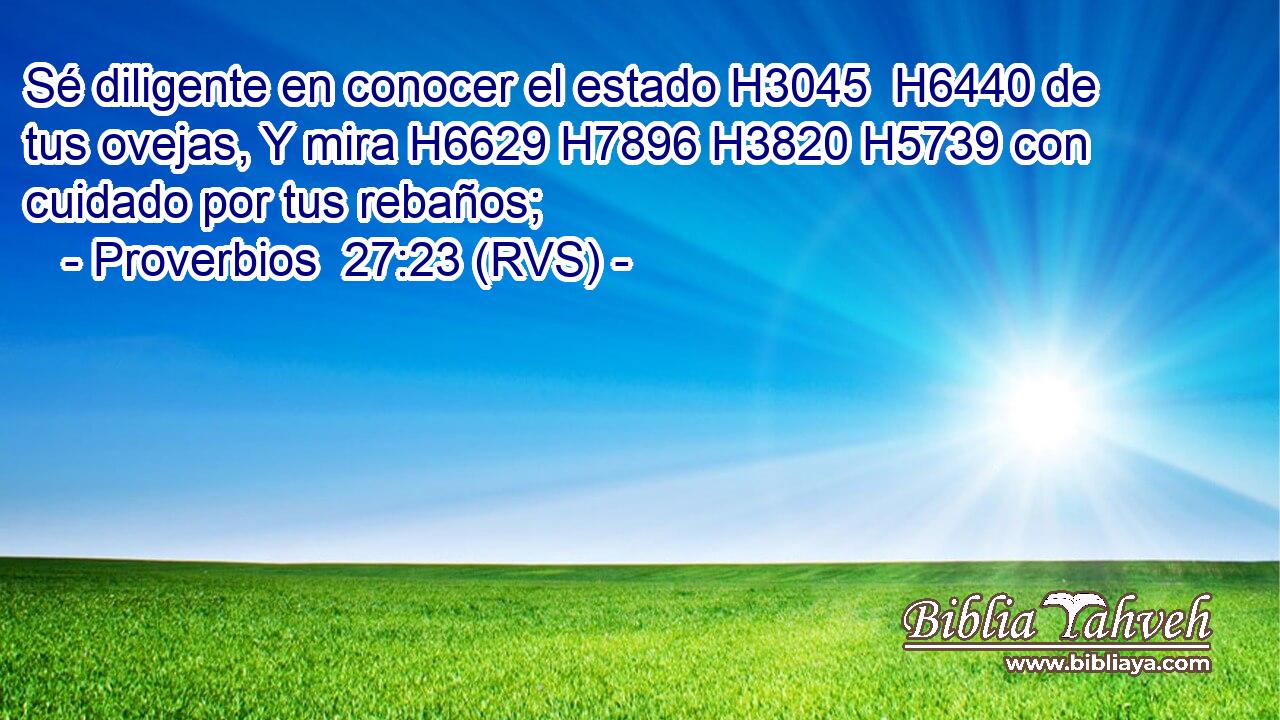 Sé diligente en conocer el estado H3045  H6440 de tus ovejas, Y mira H6629 H7896 H3820 H5739 con cuidado por tus rebaños; 