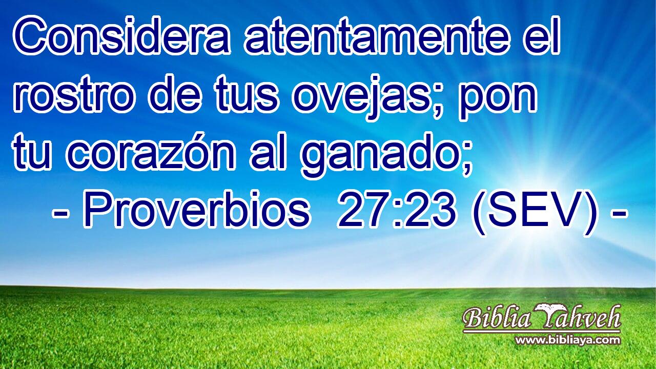 Considera atentamente el rostro de tus ovejas; pon tu corazón al ganado;