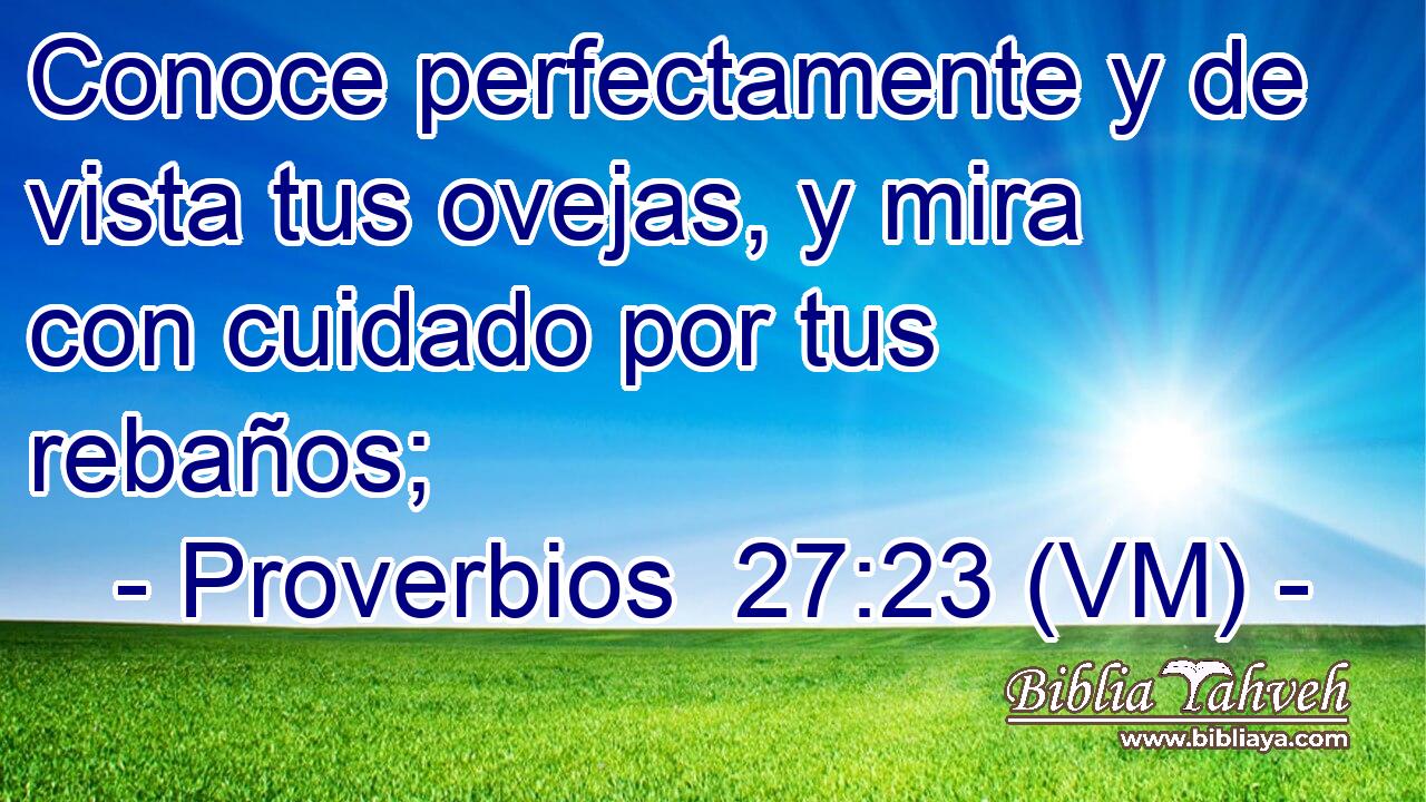  Conoce perfectamente y de vista tus ovejas, y mira con cuidado por tus rebaños; 