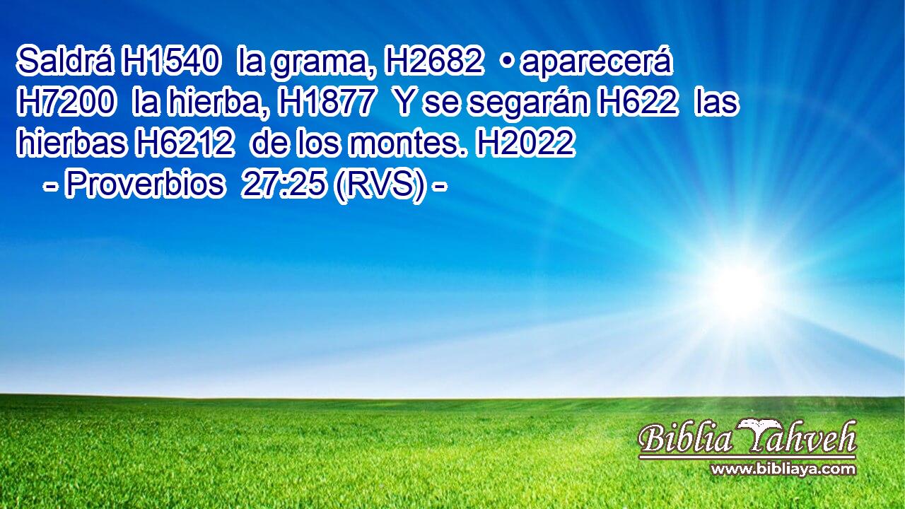Saldrá H1540  la grama, H2682  • aparecerá H7200  la hierba, H1877  Y se segarán H622  las hierbas H6212  de los montes. H2022  