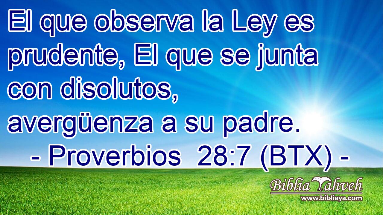 El que observa la Ley es prudente, El que se junta con disolutos, avergüenza a su padre.