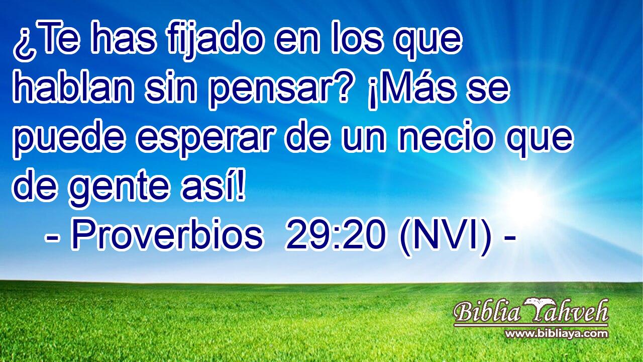  ¿Te has fijado en los que hablan sin pensar? ¡Más se puede esperar de un necio que de gente así! 