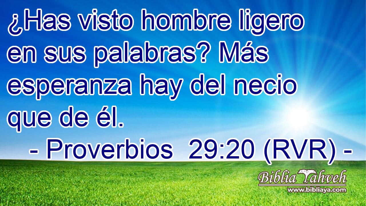 ¿Has visto hombre ligero en sus palabras? Más esperanza hay del necio que de él.
