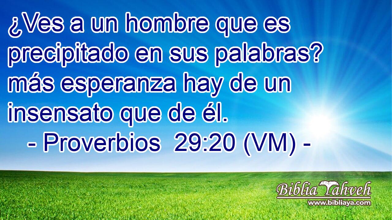  ¿Ves a un hombre que es precipitado en sus palabras? más esperanza hay de un insensato que de él. 