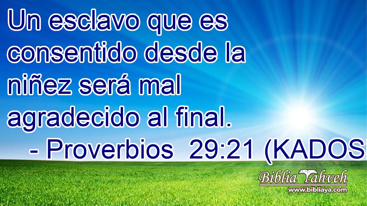  Un esclavo que es consentido desde la niñez será mal agradecido al final. 