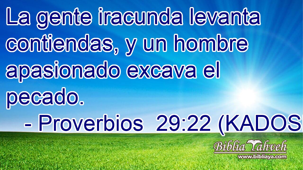  La gente iracunda levanta contiendas, y un hombre apasionado excava el pecado. 