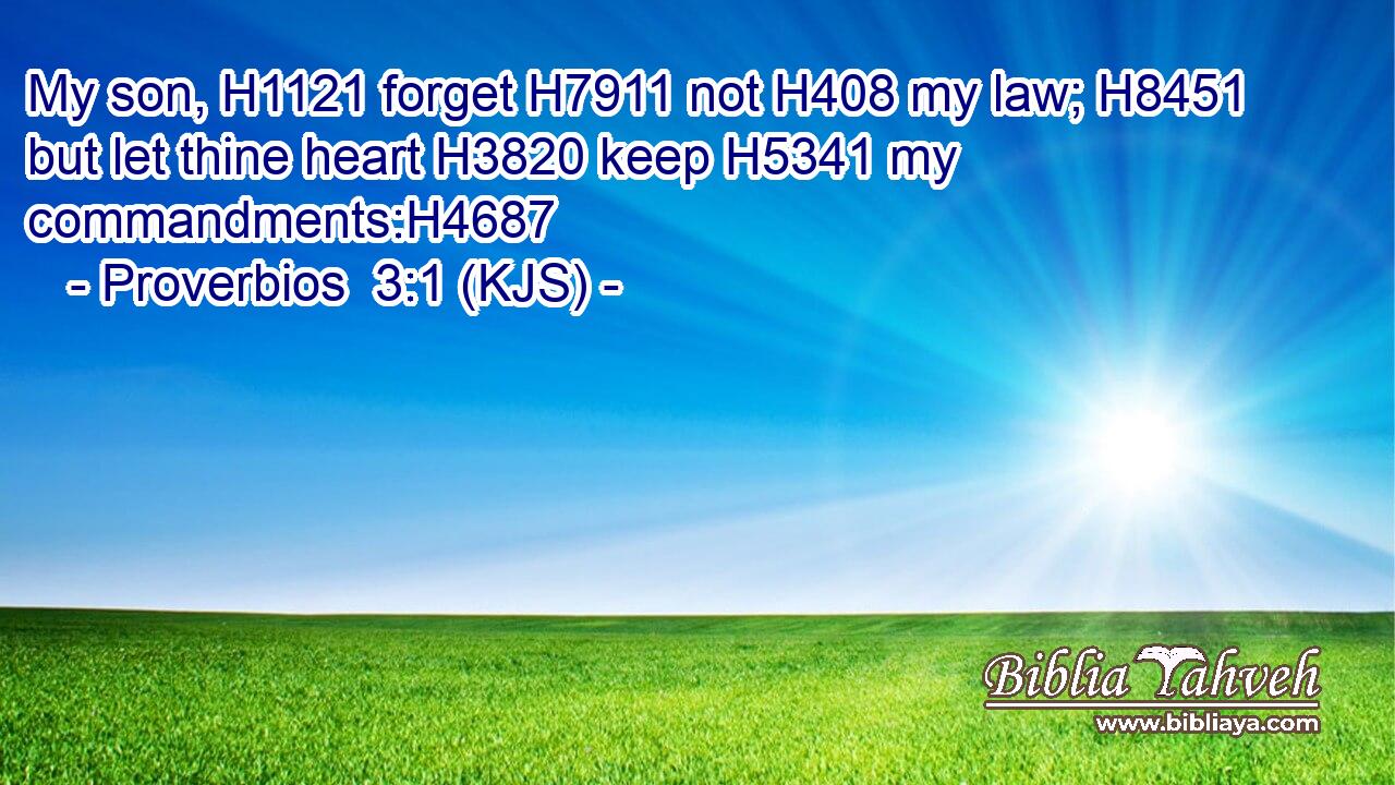 My son, H1121 forget H7911 not H408 my law; H8451 but let thine heart H3820 keep H5341 my commandments:H4687