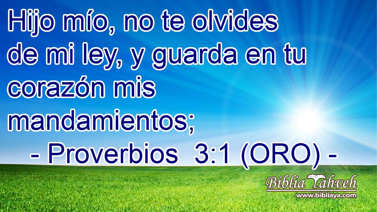  Hijo mío, no te olvides de mi ley, y guarda en tu corazón mis mandamientos; 