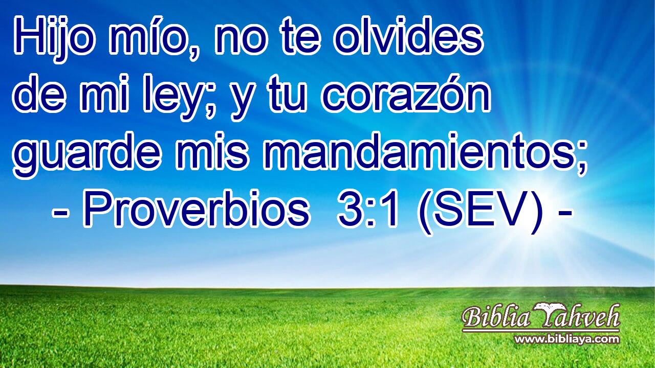 Hijo mío, no te olvides de mi ley; y tu corazón guarde mis mandamientos;