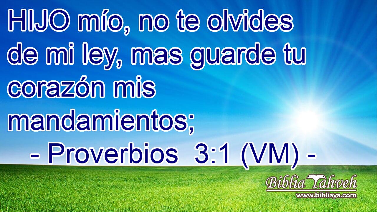  HIJO mío, no te olvides de mi ley, mas guarde tu corazón mis mandamientos; 