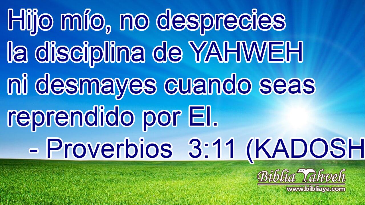  Hijo mío, no desprecies la disciplina de YAHWEH ni desmayes cuando seas reprendido por El. 