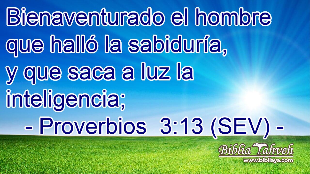 Bienaventurado el hombre que halló la sabiduría, y que saca a luz la inteligencia;