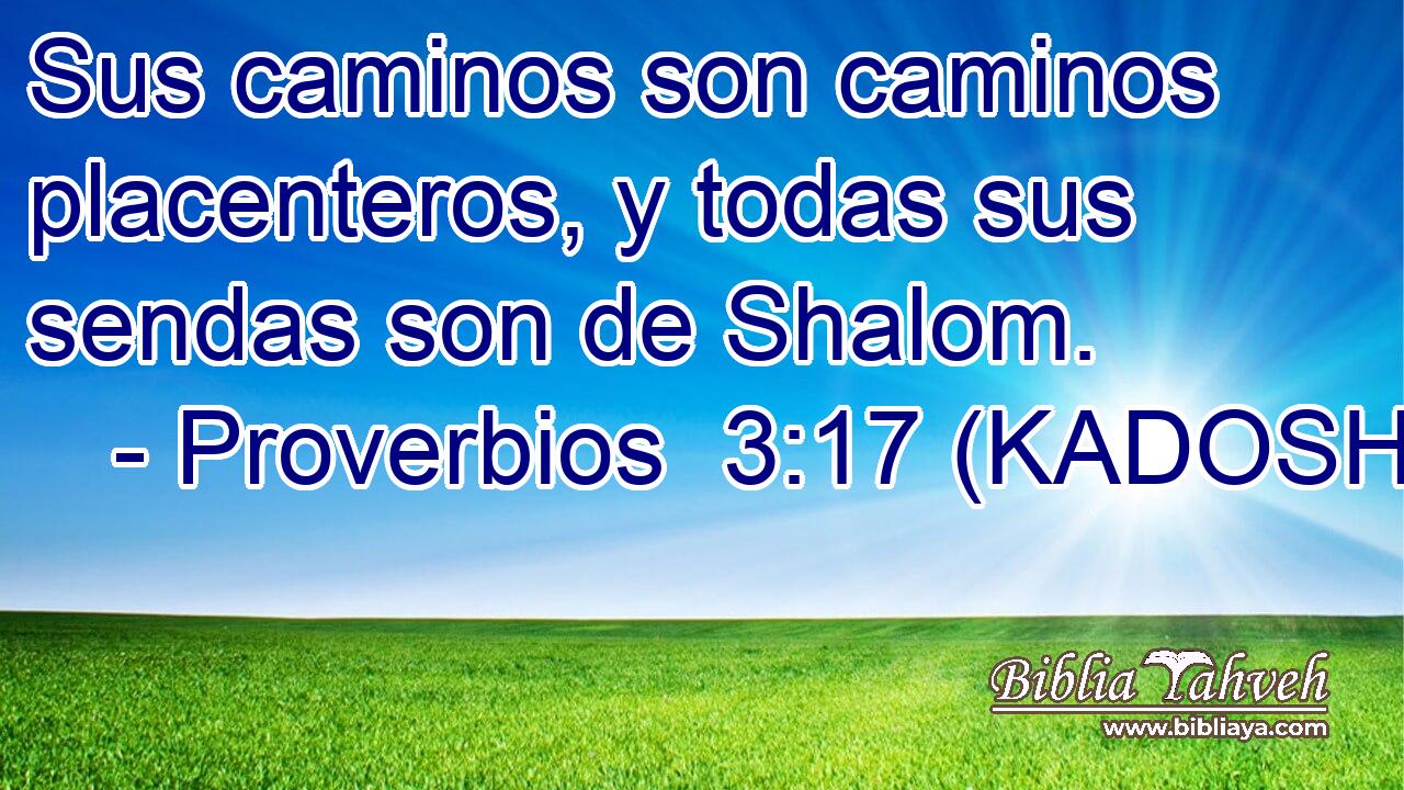  Sus caminos son caminos placenteros, y todas sus sendas son de Shalom. 