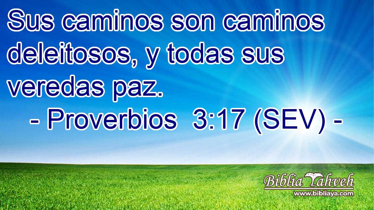 Sus caminos son caminos deleitosos, y todas sus veredas paz.