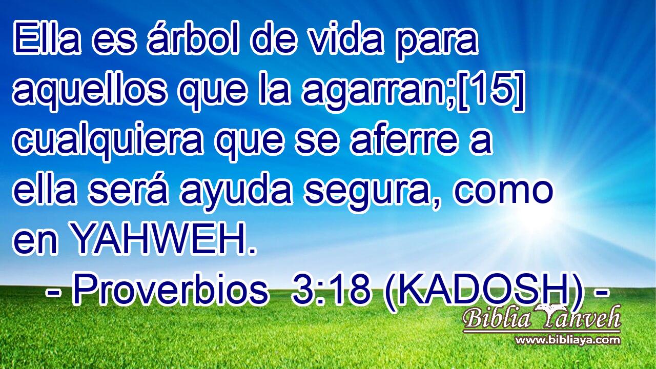  Ella es árbol de vida para aquellos que la agarran;[15] cualquiera que se aferre a ella será ayuda segura, como en YAHWEH. 