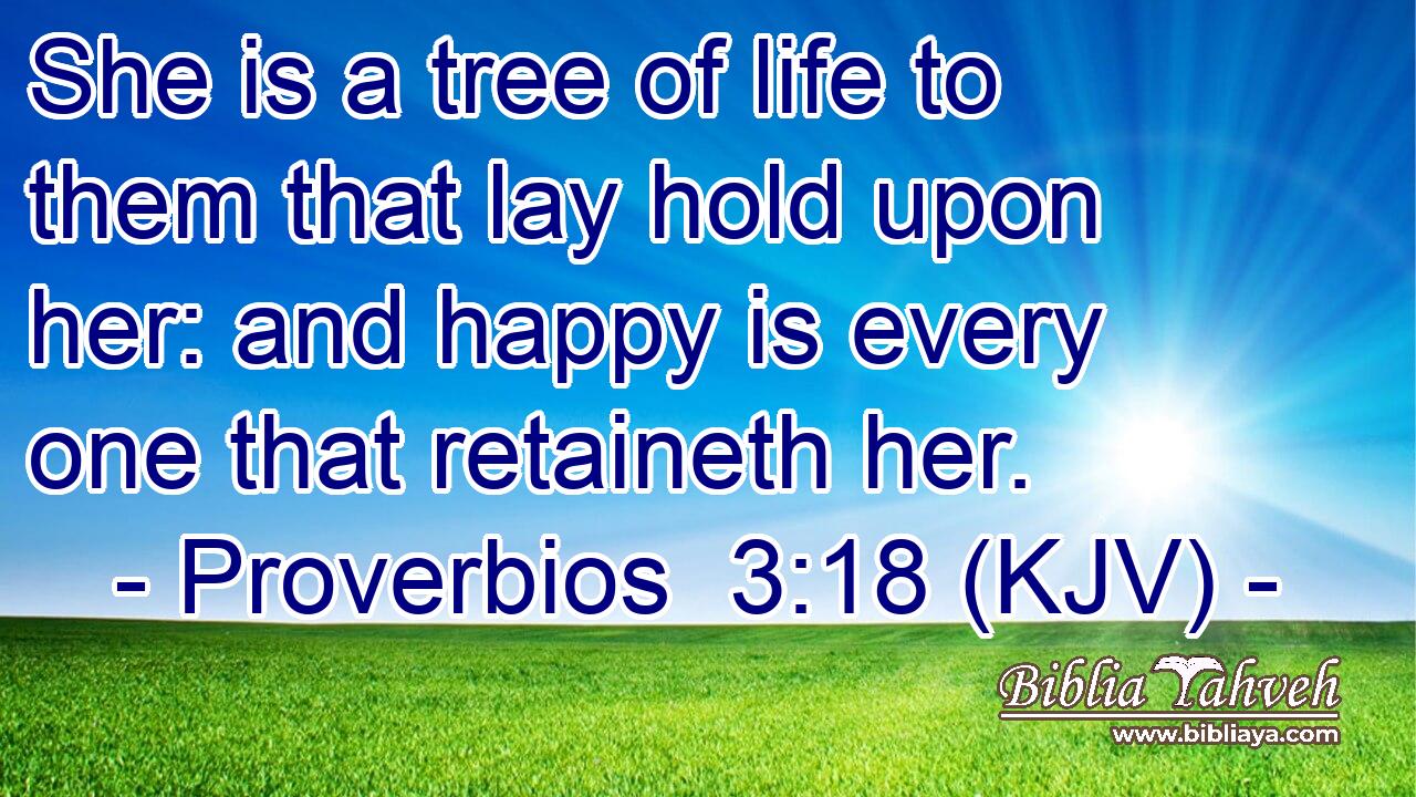 She is a tree of life to them that lay hold upon her: and happy is every one that retaineth her.