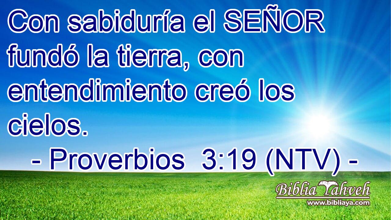 Con sabiduría el SEÑOR fundó la tierra, con entendimiento creó los cielos.