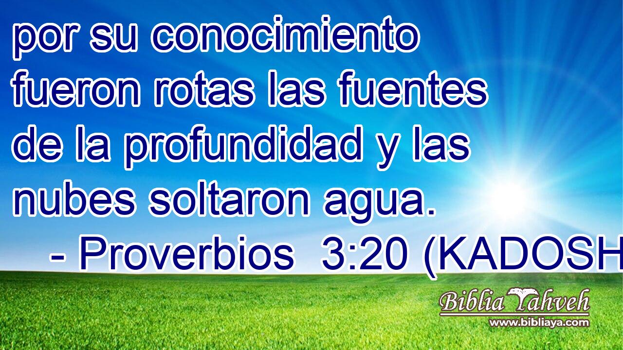  por su conocimiento fueron rotas las fuentes de la profundidad y las nubes soltaron agua. 