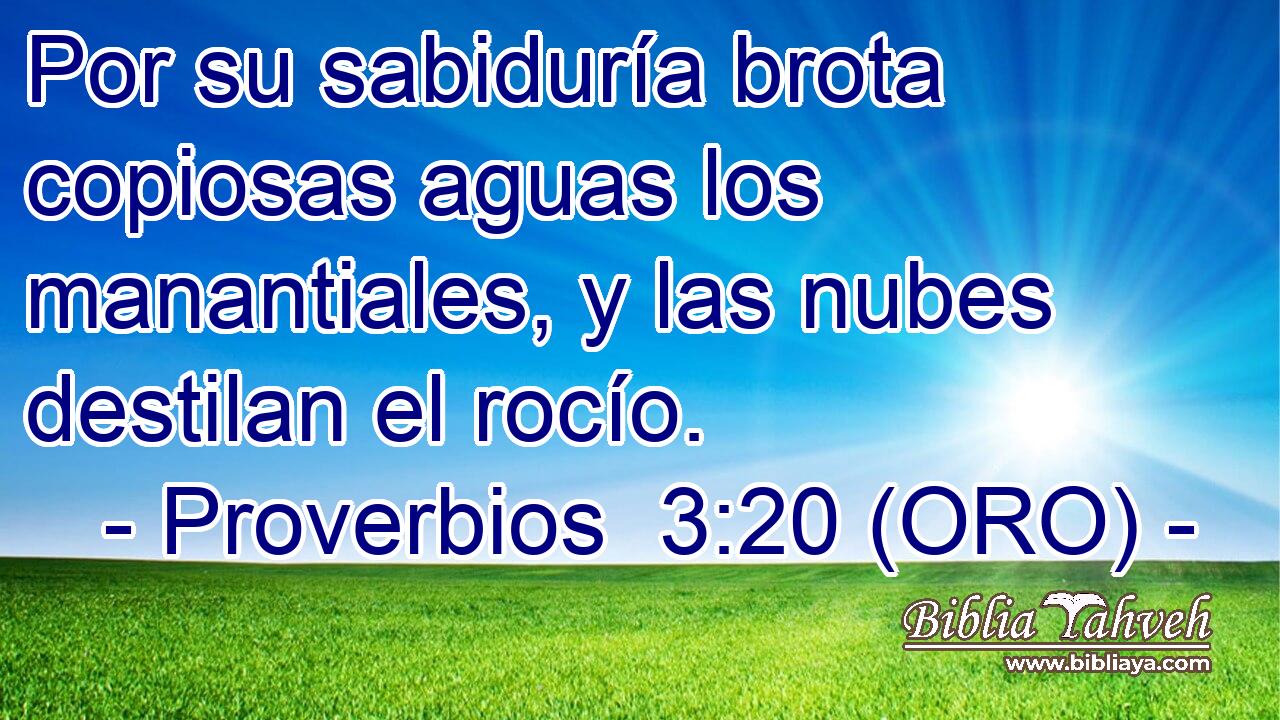  Por su sabiduría brota copiosas aguas los manantiales, y las nubes destilan el rocío. 