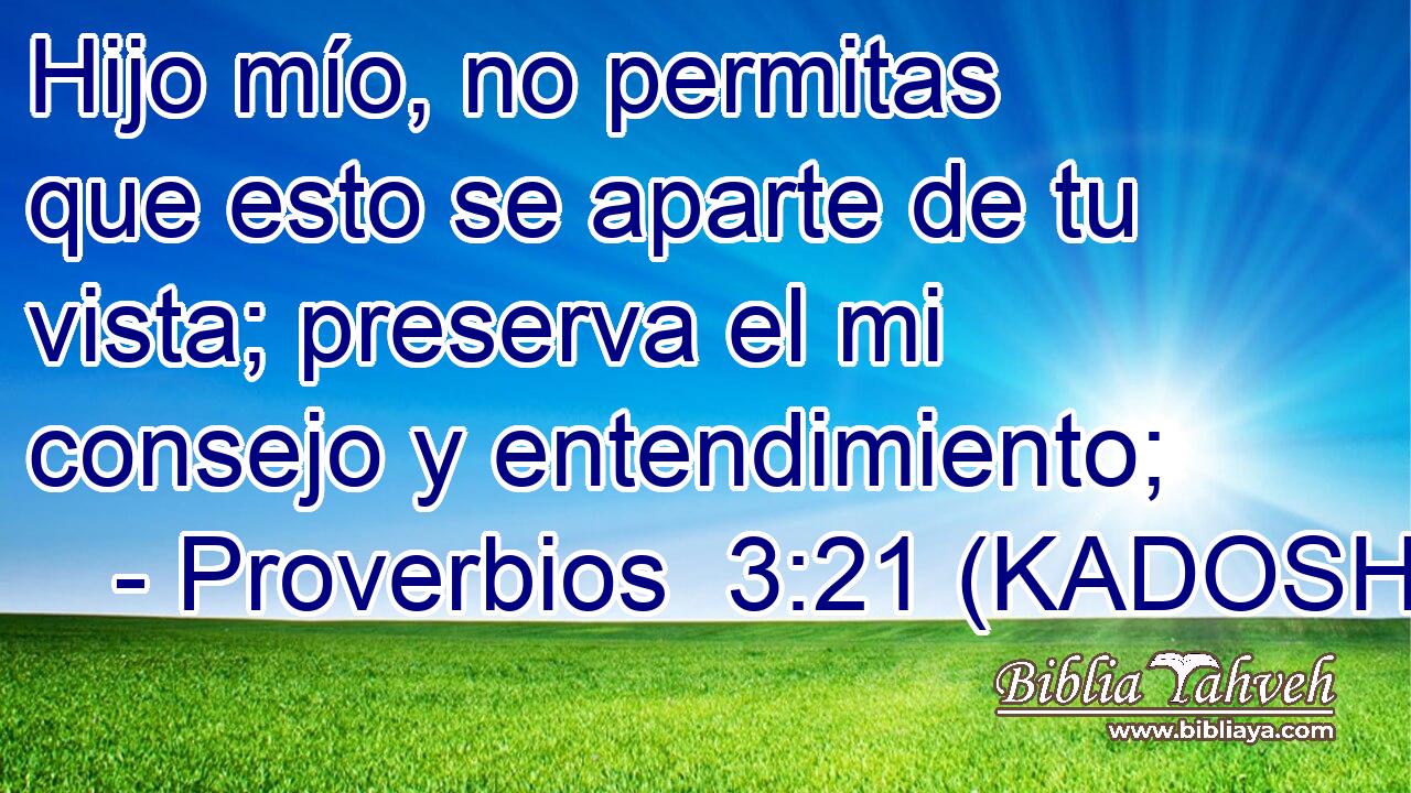  Hijo mío, no permitas que esto se aparte de tu vista; preserva el mi consejo y entendimiento; 