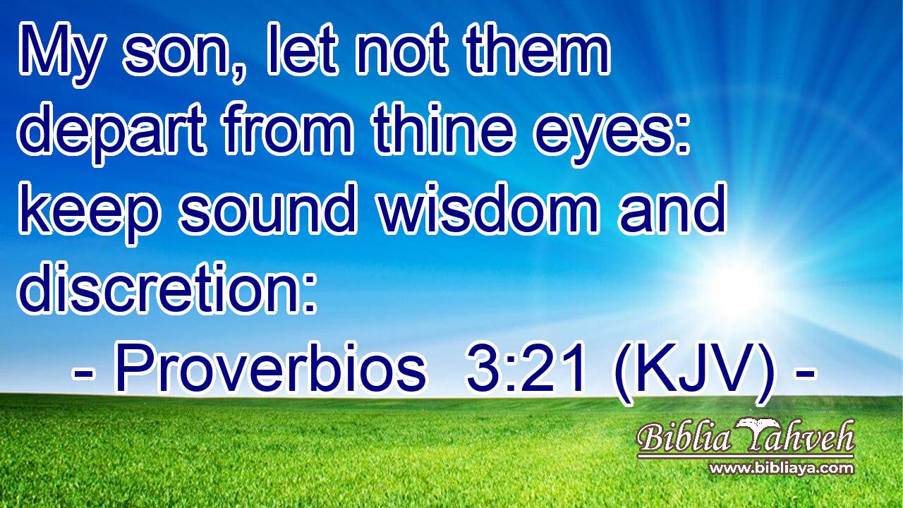 My son, let not them depart from thine eyes: keep sound wisdom and discretion: