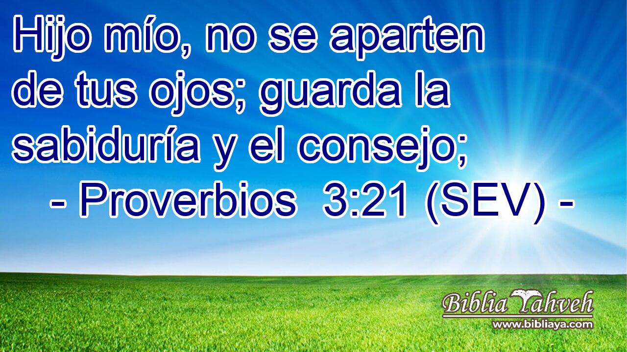 Hijo mío, no se aparten de tus ojos; guarda la sabiduría y el consejo;