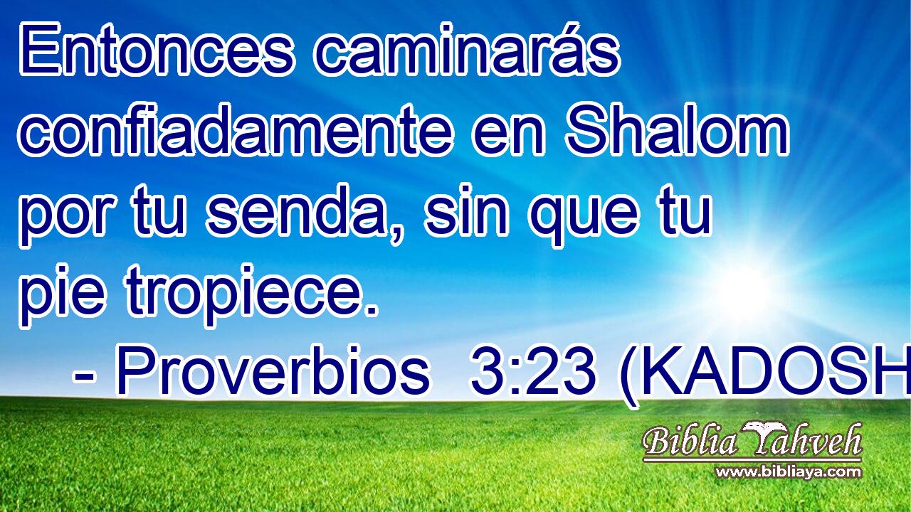  Entonces caminarás confiadamente en Shalom por tu senda, sin que tu pie tropiece. 