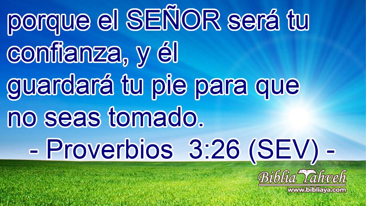 porque el SEÑOR será tu confianza, y él guardará tu pie para que no seas tomado.
