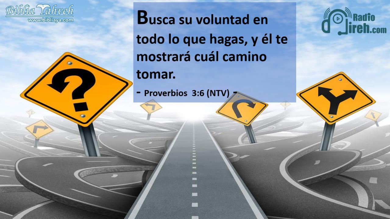Busca su voluntad en todo lo que hagas, y él te mostrará cuál camino tomar.