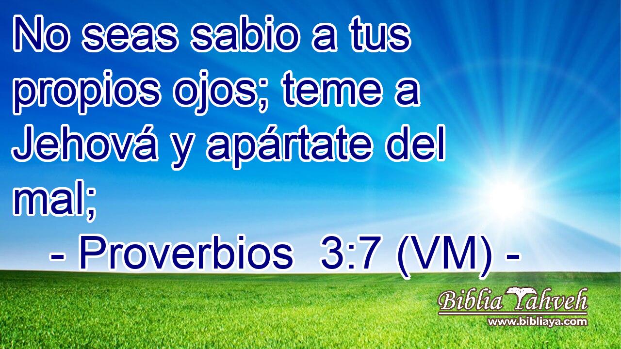  No seas sabio a tus propios ojos; teme a Jehová y apártate del mal; 