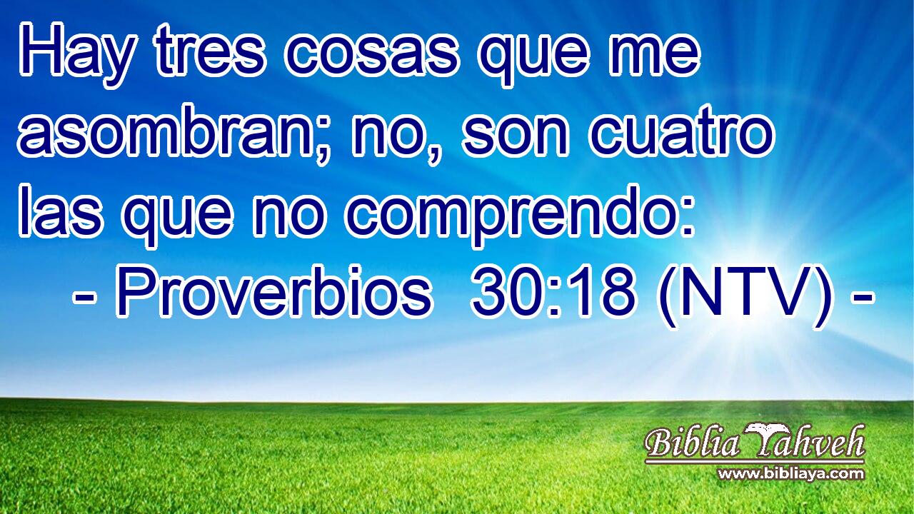 Hay tres cosas que me asombran; no, son cuatro las que no comprendo:
