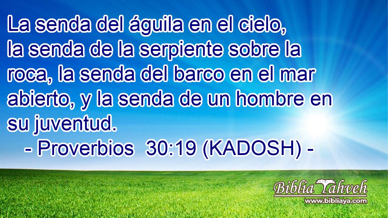  La senda del águila en el cielo, la senda de la serpiente sobre la roca, la senda del barco en el mar abierto, y la senda de un hombre en su juventud. 