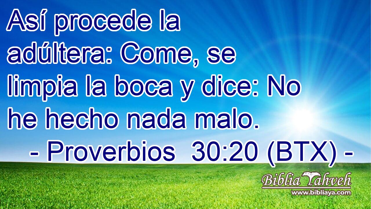 Así procede la adúltera: Come, se limpia la boca y dice: No he hecho nada malo.